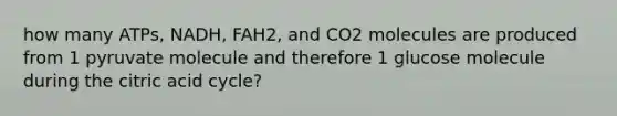 how many ATPs, NADH, FAH2, and CO2 molecules are produced from 1 pyruvate molecule and therefore 1 glucose molecule during the citric acid cycle?