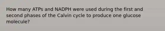 How many ATPs and NADPH were used during the first and second phases of the Calvin cycle to produce one glucose molecule?