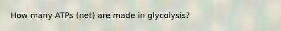 How many ATPs (net) are made in glycolysis?