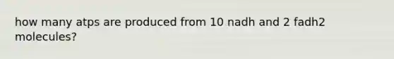 how many atps are produced from 10 nadh and 2 fadh2 molecules?