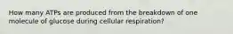 How many ATPs are produced from the breakdown of one molecule of glucose during cellular respiration?