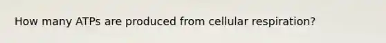 How many ATPs are produced from cellular respiration?