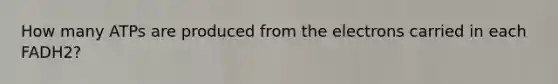 How many ATPs are produced from the electrons carried in each FADH2?
