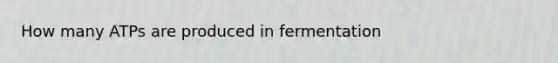 How many ATPs are produced in fermentation