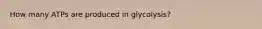 How many ATPs are produced in glycolysis?