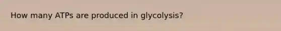 How many ATPs are produced in glycolysis?