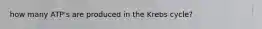 how many ATP's are produced in the Krebs cycle?
