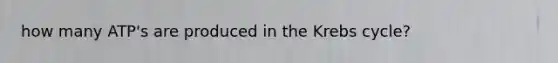 how many ATP's are produced in the Krebs cycle?