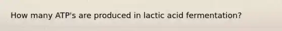 How many ATP's are produced in lactic acid fermentation?