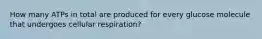 How many ATPs in total are produced for every glucose molecule that undergoes cellular respiration?