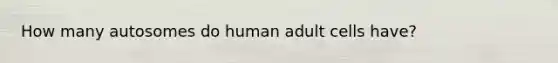 How many autosomes do human adult cells have?