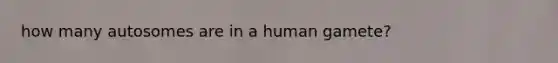 how many autosomes are in a human gamete?