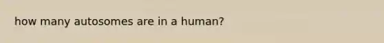 how many autosomes are in a human?