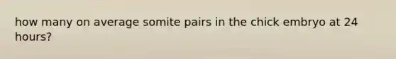 how many on average somite pairs in the chick embryo at 24 hours?