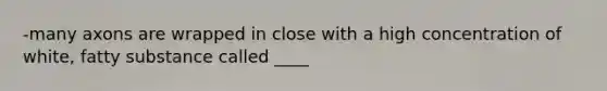 -many axons are wrapped in close with a high concentration of white, fatty substance called ____