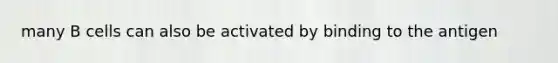 many B cells can also be activated by binding to the antigen