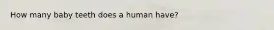 How many baby teeth does a human have?