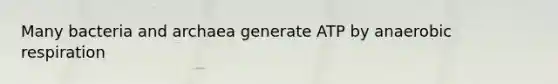 Many bacteria and archaea generate ATP by anaerobic respiration