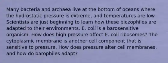 Many bacteria and archaea live at the bottom of oceans where the hydrostatic pressure is extreme, and temperatures are low. Scientists are just beginning to learn how these piezophiles are adapted to their environments. E. coli is a barosensitive organism. How does high pressure affect E. coli ribosomes? The cytoplasmic membrane is another cell component that is sensitive to pressure. How does pressure alter cell membranes, and how do barophiles adapt?