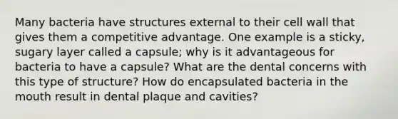 Many bacteria have structures external to their cell wall that gives them a competitive advantage. One example is a sticky, sugary layer called a capsule; why is it advantageous for bacteria to have a capsule? What are the dental concerns with this type of structure? How do encapsulated bacteria in the mouth result in dental plaque and cavities?