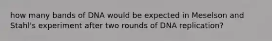 how many bands of DNA would be expected in Meselson and Stahl's experiment after two rounds of <a href='https://www.questionai.com/knowledge/kofV2VQU2J-dna-replication' class='anchor-knowledge'>dna replication</a>?