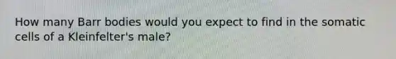 How many Barr bodies would you expect to find in the somatic cells of a Kleinfelter's male?