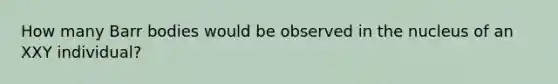 How many Barr bodies would be observed in the nucleus of an XXY individual?