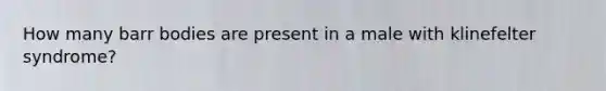 How many barr bodies are present in a male with klinefelter syndrome?