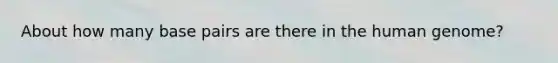 About how many base pairs are there in the human genome?