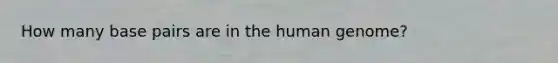 How many base pairs are in the <a href='https://www.questionai.com/knowledge/kaQqK73QV8-human-genome' class='anchor-knowledge'>human genome</a>?