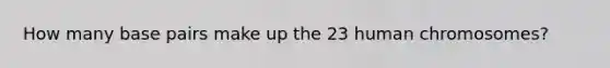 How many base pairs make up the 23 human chromosomes?