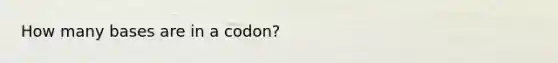 How many bases are in a codon?