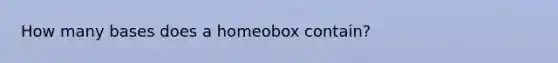 How many bases does a homeobox contain?