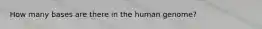 How many bases are there in the human genome?