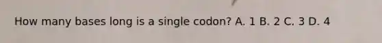 How many bases long is a single codon? A. 1 B. 2 C. 3 D. 4