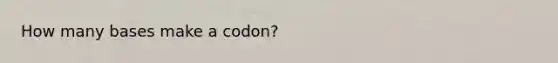 How many bases make a codon?