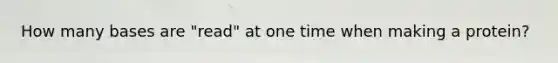 How many bases are "read" at one time when making a protein?