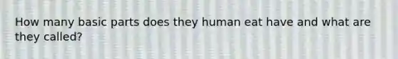 How many basic parts does they human eat have and what are they called?