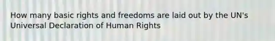 How many basic rights and freedoms are laid out by the UN's Universal Declaration of Human Rights