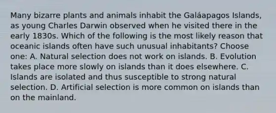 Many bizarre plants and animals inhabit the Galáapagos Islands, as young Charles Darwin observed when he visited there in the early 1830s. Which of the following is the most likely reason that oceanic islands often have such unusual inhabitants? Choose one: A. Natural selection does not work on islands. B. Evolution takes place more slowly on islands than it does elsewhere. C. Islands are isolated and thus susceptible to strong natural selection. D. Artificial selection is more common on islands than on the mainland.