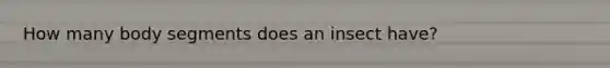How many body segments does an insect have?