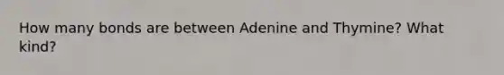 How many bonds are between Adenine and Thymine? What kind?