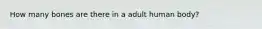 How many bones are there in a adult human body?