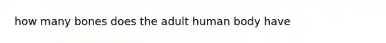 how many bones does the adult human body have