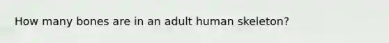 How many bones are in an adult human skeleton?