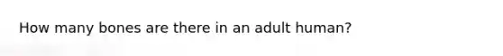 How many bones are there in an adult human?