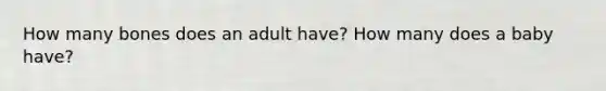 How many bones does an adult have? How many does a baby have?