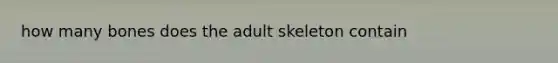 how many bones does the adult skeleton contain