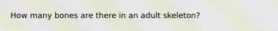 How many bones are there in an adult skeleton?