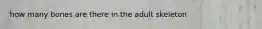 how many bones are there in the adult skeleton